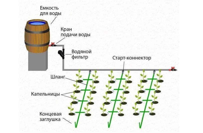 Капельный полив своими руками из пластиковых бутылок для помидор