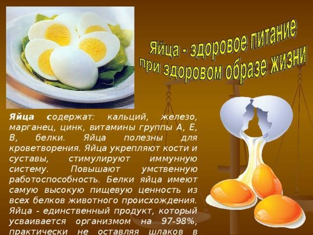 Вред и польза куриных яиц, вредно ли есть вареные яйца каждый день