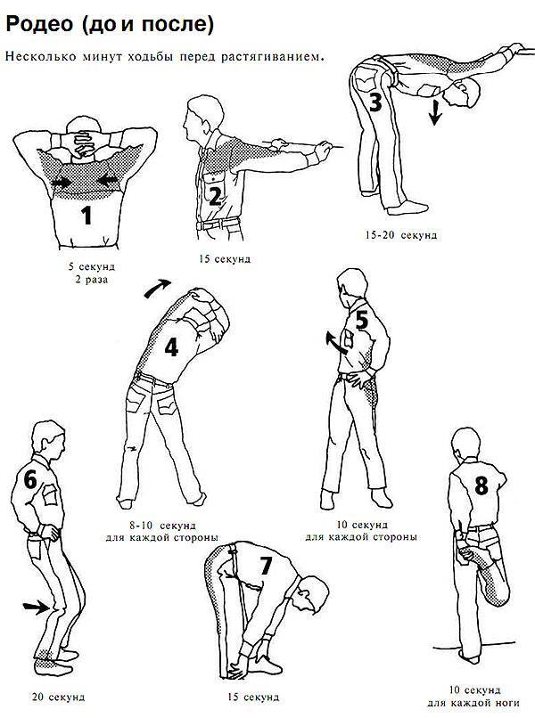 Упражнения на растяжку и гибкость всего тела: комплекс упражнений с техникой выполнения и описанием пользы для организма