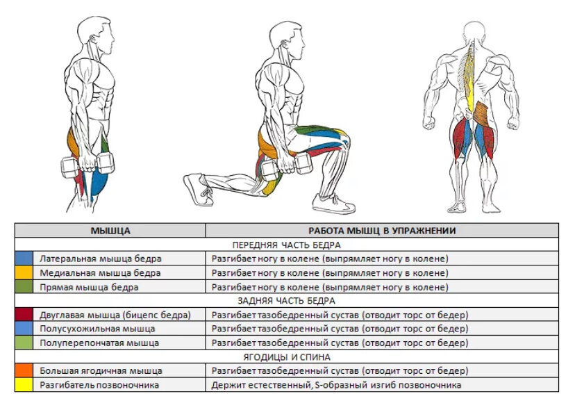 Как накачать ноги в домашних условиях мужчине: упражнения для тренировки мышц ног без тренажеров