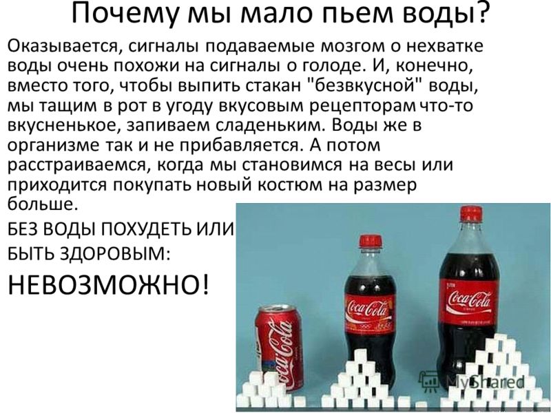 Обезвоживание организма: реальные и вымышленные риски / блог / клиника эксперт