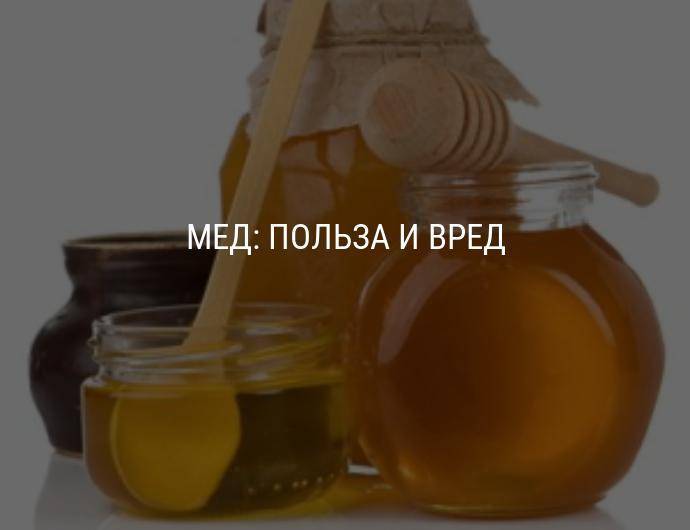 Не простые свойства мёда