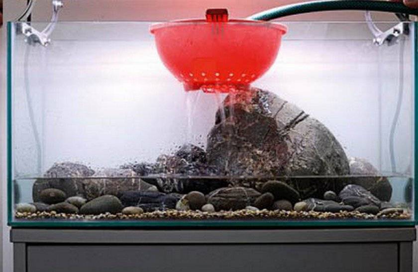 Какую воду наливать в аквариум для рыбок: видео