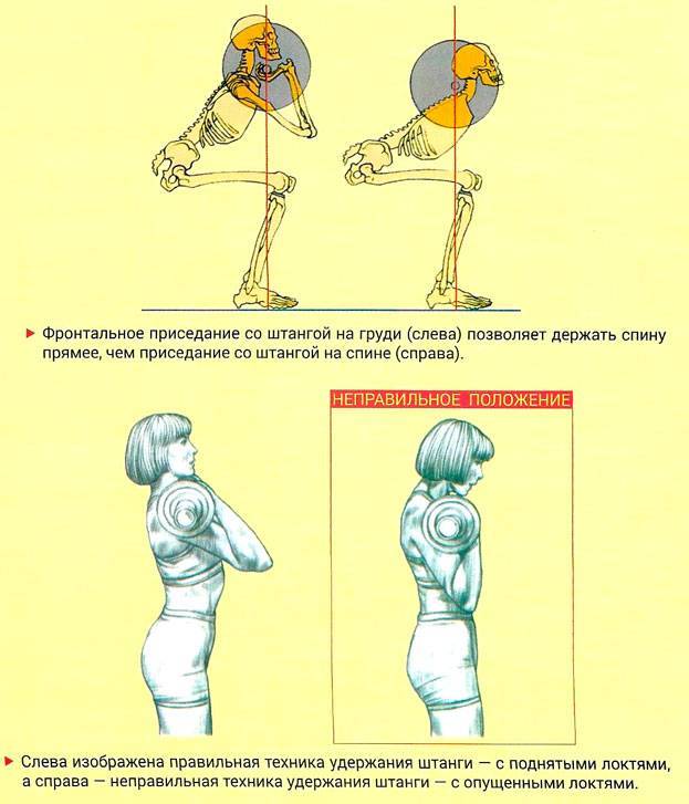 Приседания со штангой за спиной: техника, работающие мышцы