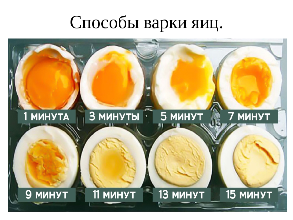 Как варить яйца | сколько варить яйца