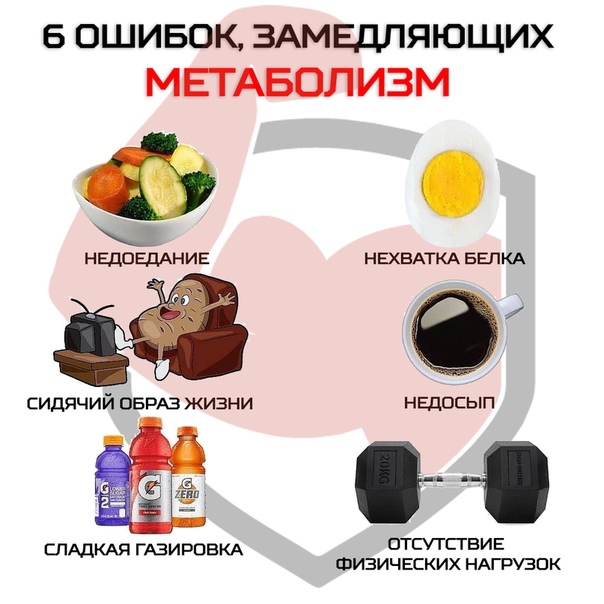 Как ускорить обмен веществ: 7 способов разогнать метаболизм