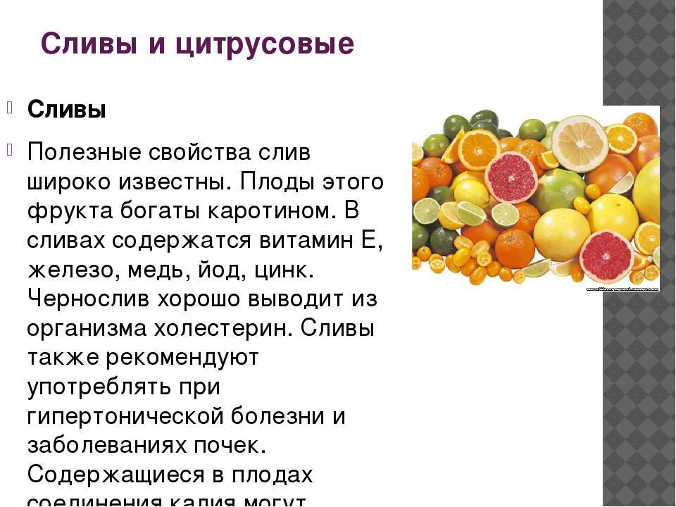 Слива - калорийность, полезные свойства, польза и вред, описание - www.calorizator.ru