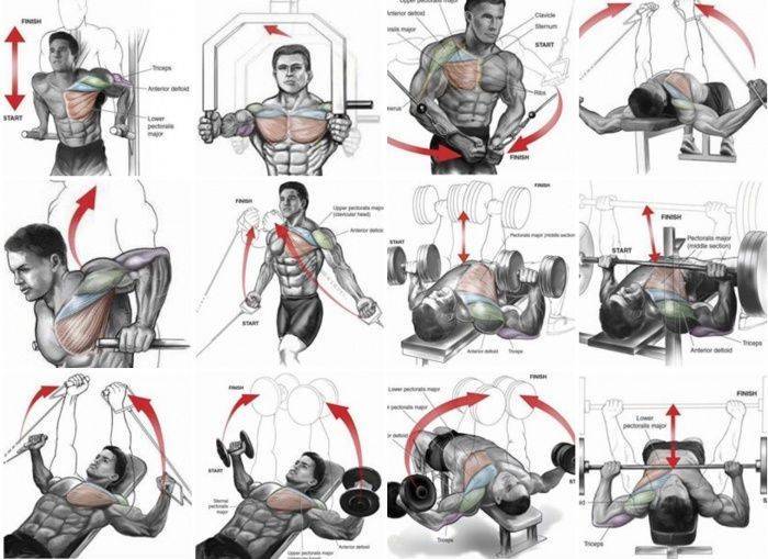 Упражнения на грудь в тренажерном зале (в картинках) | фитнес