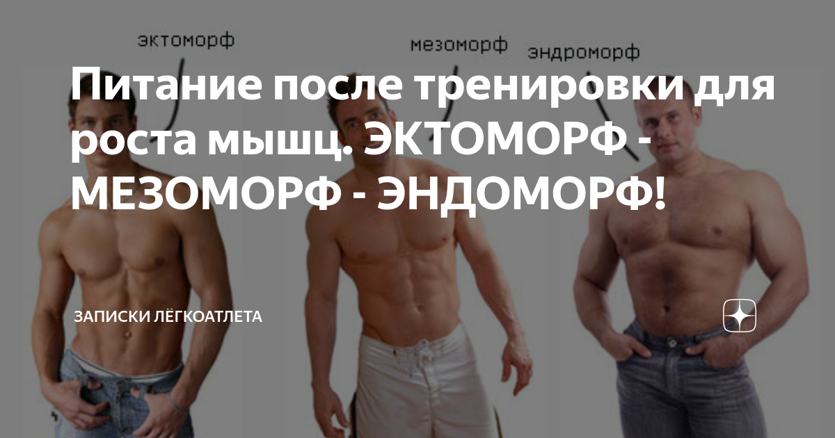 Программа тренировок для эктоморфа: как набрать мышечную массу худому и развитие мускулатуры | rulebody.ru — правила тела