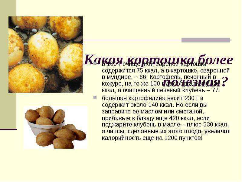 Калорийность вареного картофеля, в мундирах на 100 грамм