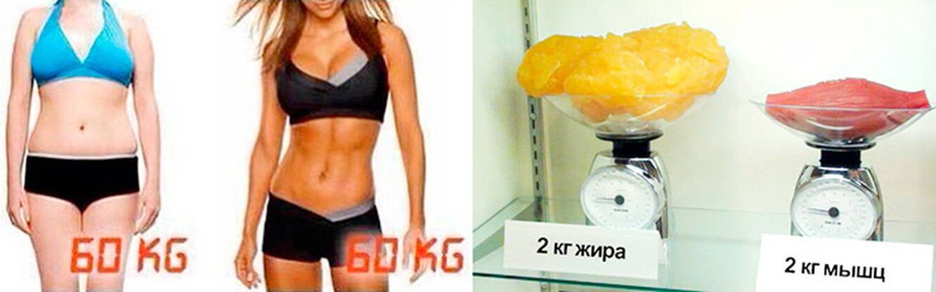 Можно ли жечь жир и растить мышцы одновременно?