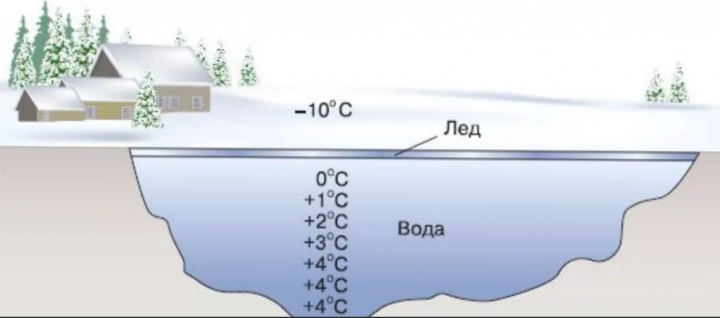 Температура в озерах летом. Температура воды подо льдом. Температура воды зимой подо льдом. Температура воды зимой подо льдом в озере. Промерзание воды в водоемах.