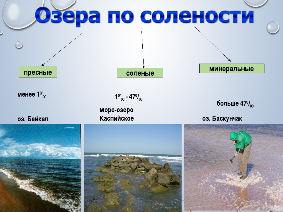 Море с пресной водой: какое считается соленым, а какое практически несоленым, чем отличаются морские водоемы от пресноводных? | house-fitness.ru