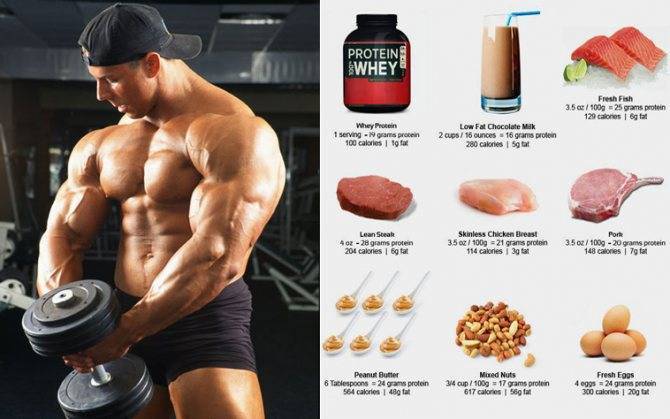 Как составить питание для набора мышечной массы: мужчинам и девушкам