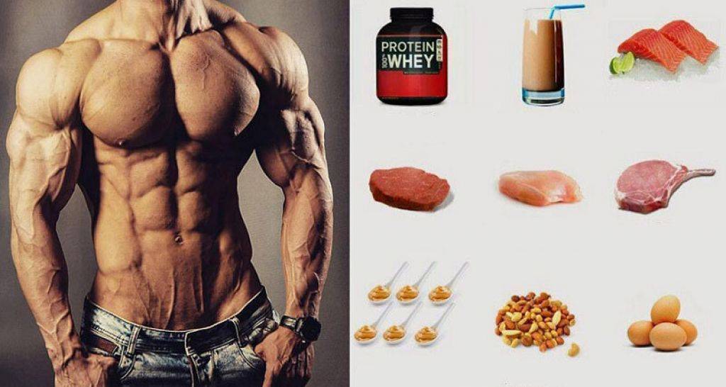 Фитнес, мышцы и вегетарианство - fitlabs / ирина брехт