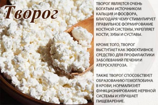 Творог: польза, вред, состав, калорийность, выбор в магазине | luculentia.ru