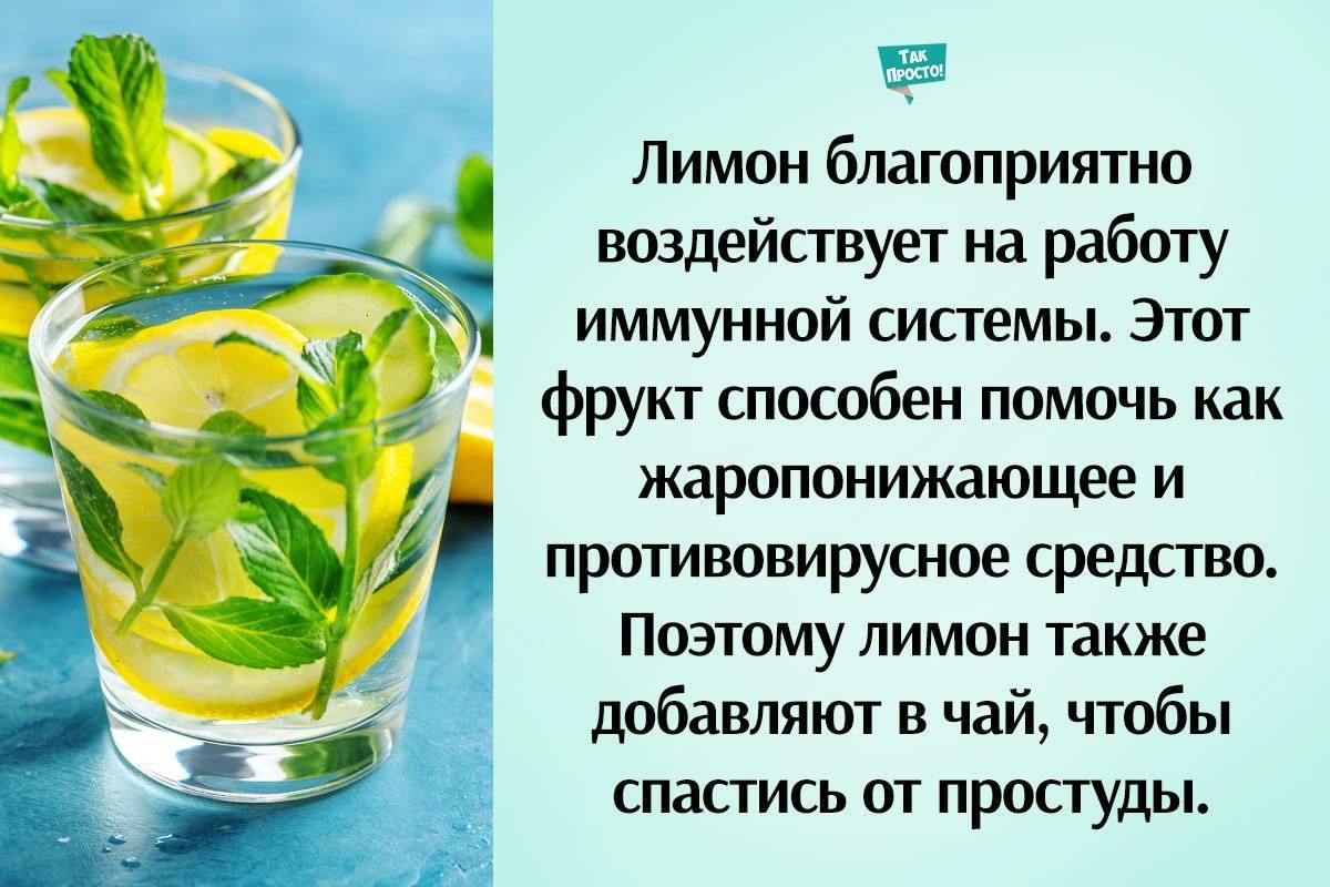 Вода с лимоном натощак - польза и вред