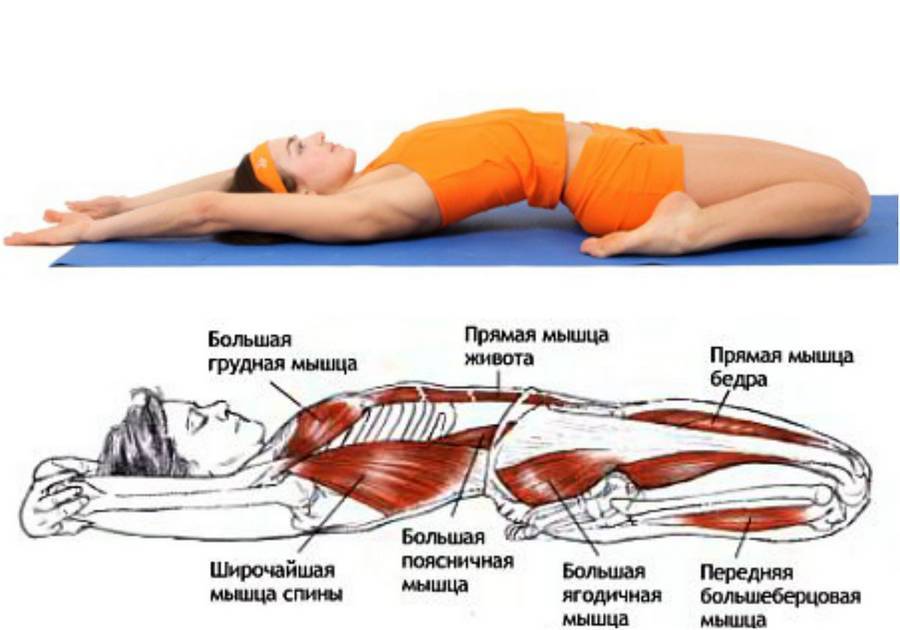 Stretch-тренировка: упражнения на растяжку для мышц всего тела