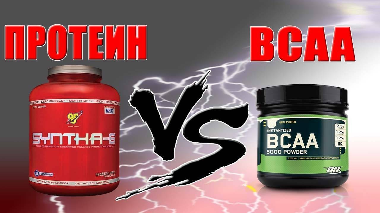 Bcaa или протеин: сравнение, что и для кого лучше | в чем разница
