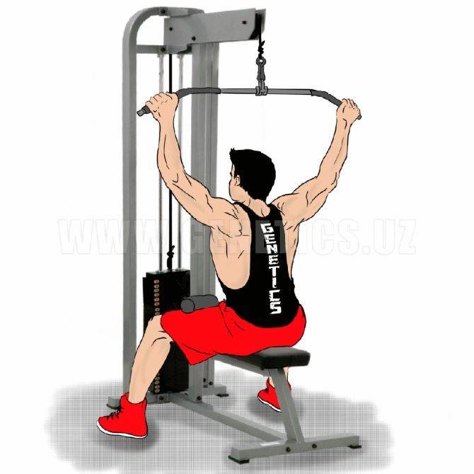 Тяга верхнего блока к груди или за голову — fit4gym - бодибилдинг и фитнес для начинающих