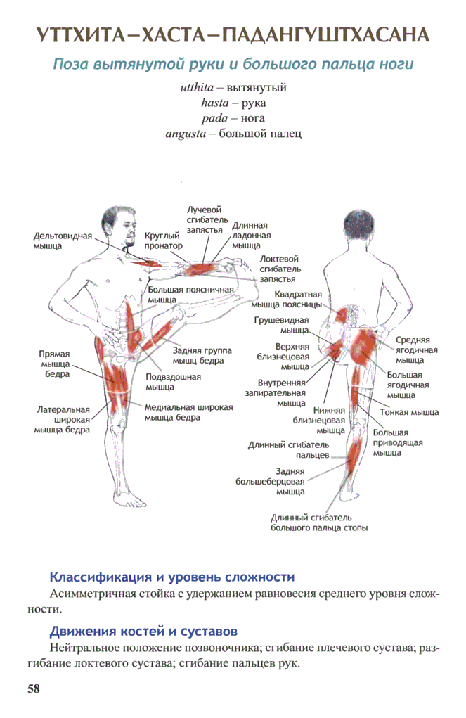 Уттхита хаста падангуштхасана. Падангуштхасана 2. Уттхита Паршва Падангуштхасана. Уттхита Хаста Падангуштхасана анатомия. Уттхита Хаста падасана противопоказания.