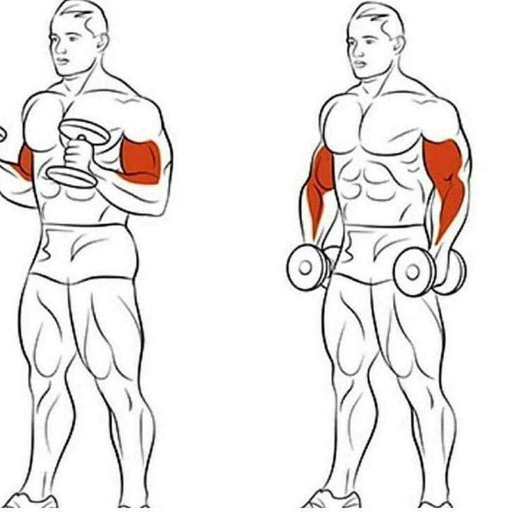 Можно ли накачаться кистевым эспандером. грудной эспандер, эффективные упражнения чтоб накачать мышцы. какой экспандер выбрать