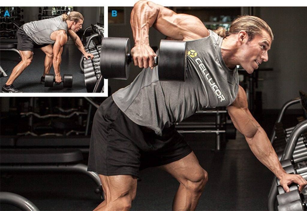 Упражнения для спины как накачать мышцы в тренажерном зале дома