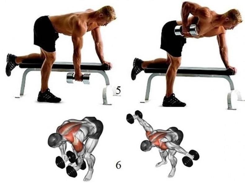 Топ 15 упражнений для трапециевидных мышц: инструкция, схемы, видео программ тренировок