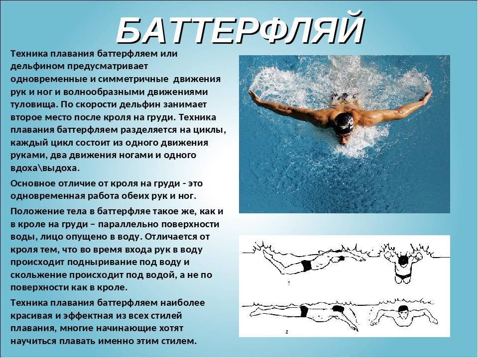 Плавание баттерфляем - основы правильной техники
