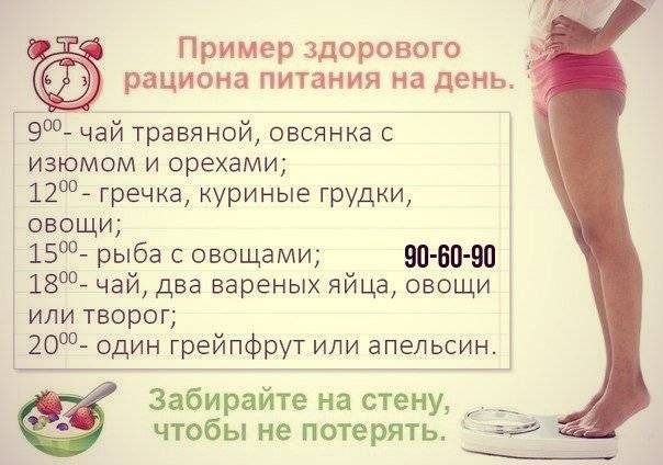 10 правил сбалансированного рациона / блог / клиника эксперт