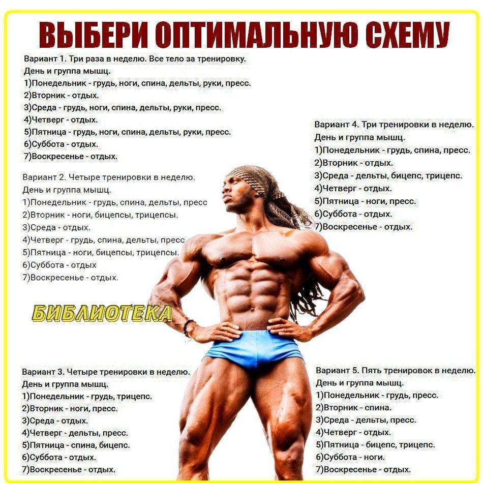 7 лучших тренировочных методов в бодибилдинге