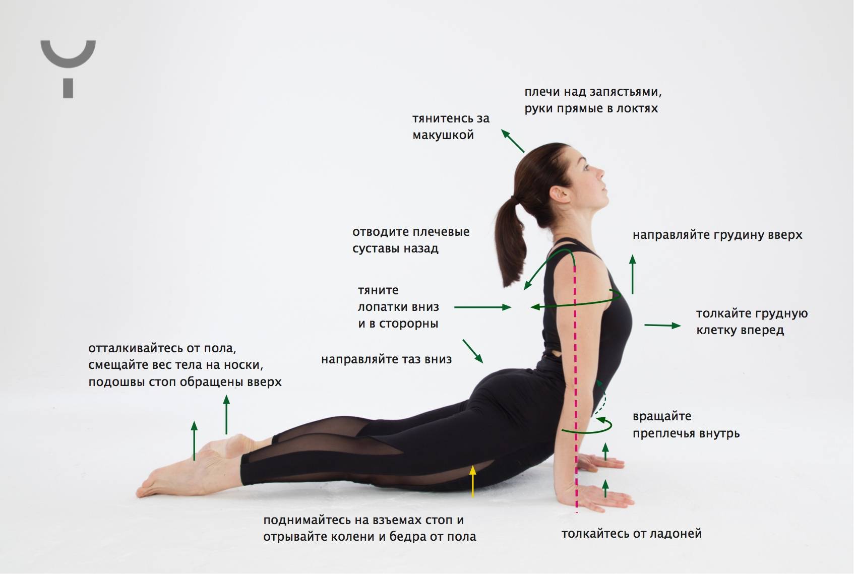 Поза журавля в йоге: особенности и техника выполнения