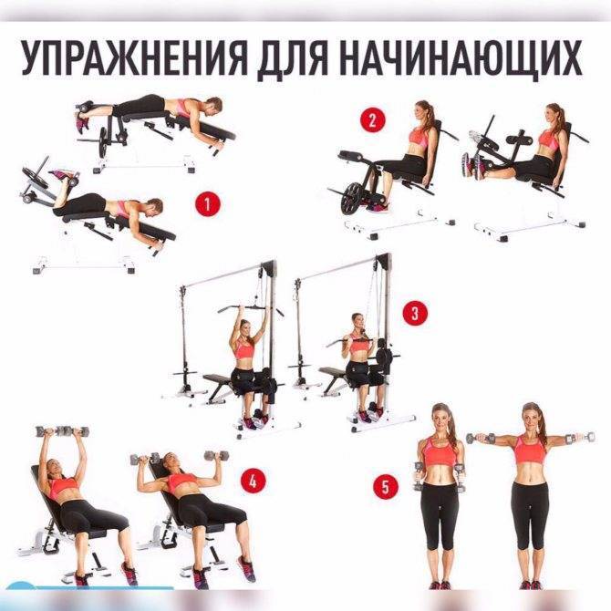 Упражнения и готовые программы тренировок рук для девушек в тренажерном зале | rulebody.ru — правила тела