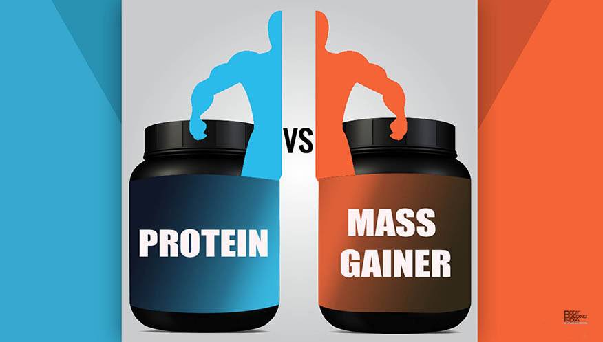 Протеин или гейнер — что лучше выбрать новичку?