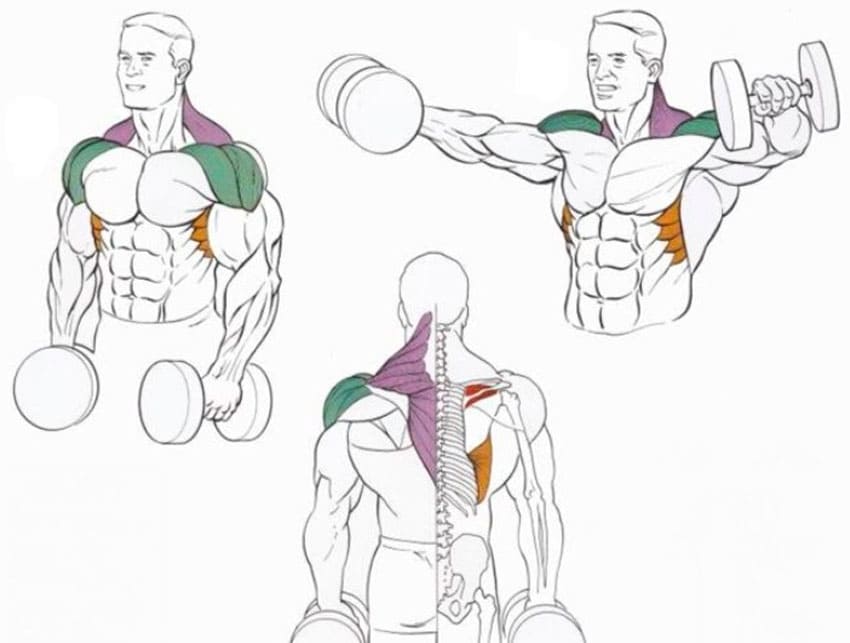 5 мощных упражнений на плечи, которые увеличат их в два раза