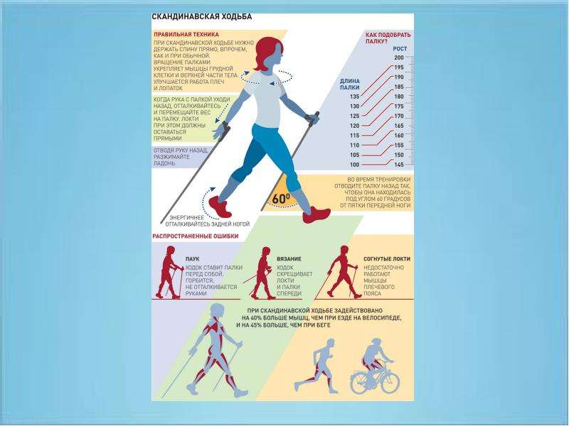 Ходьба пешком. польза и влияние на организм пешей прогулки