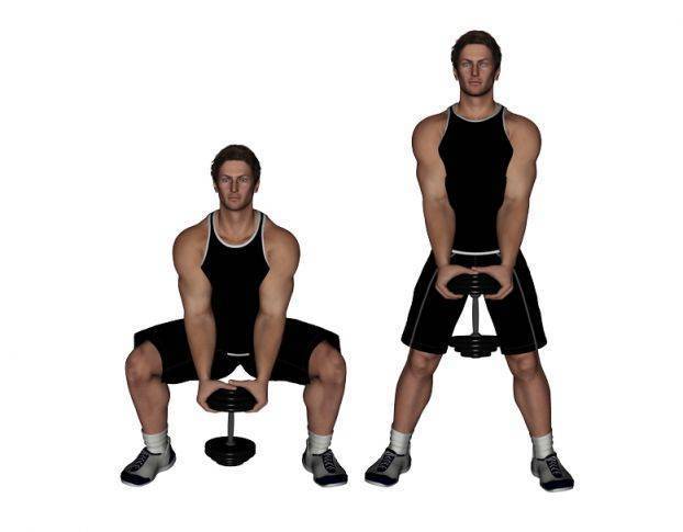 Приседания плие (сумо): 5 вариантов выполнения упражнения, техника выполнения, польза (приседание плие с гантелей и штангой)