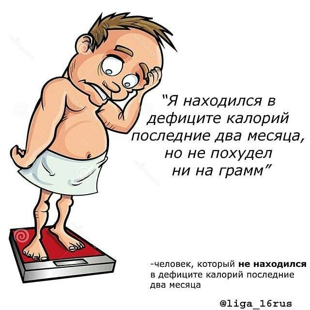 Как правильно питаться, чтобы похудеть