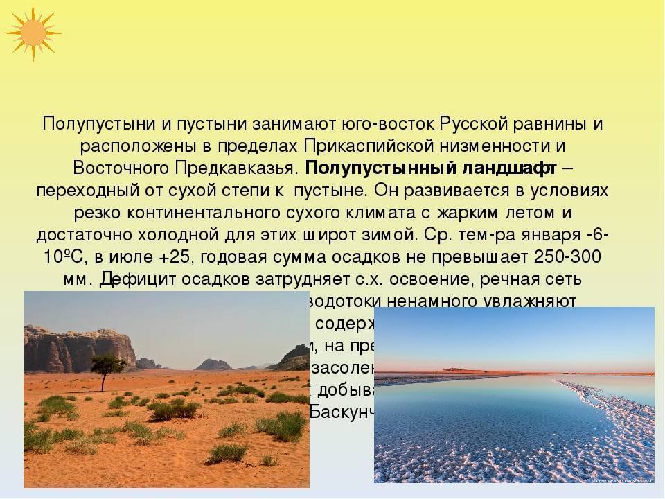 Климат пустыни – климатические особенности и природные условия кратко