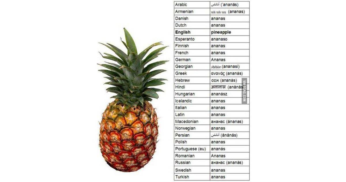 Сколько углеводов в ананасе свежем. как похудеть на ананасе: калорийность, влияние на обмен веществ, время употребления