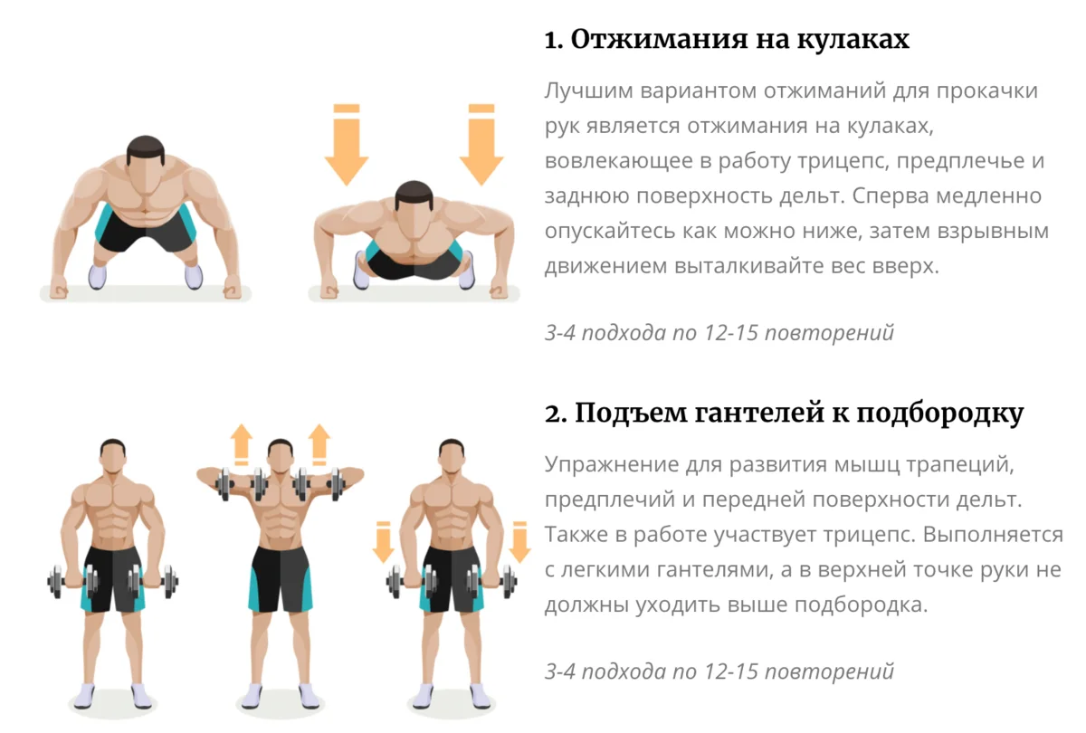 Программа тренировки грудных мышц