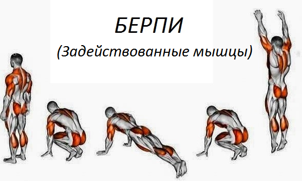 Берпи, как правильно выполнять. техника упражнения.