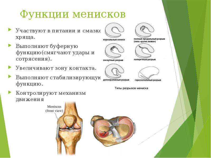Лечение коленного сустава