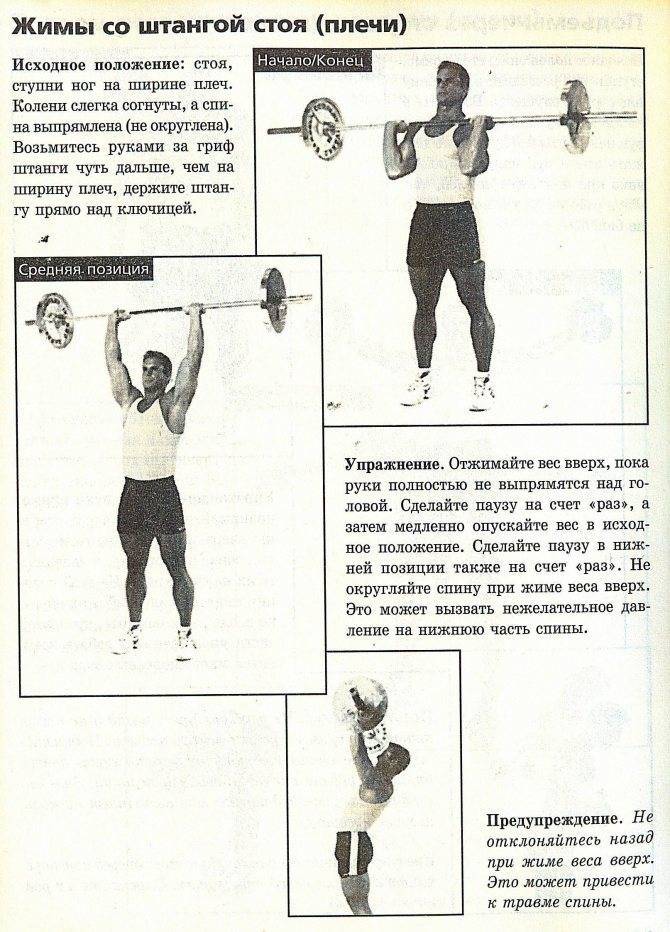 Жим штанги стоя: лучшее упражнение для прокачки плеч