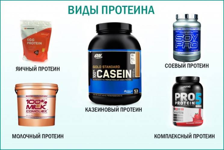 Казеин: что это такое? почему казеиновый протеин не рекомендуется? :: syl.ru