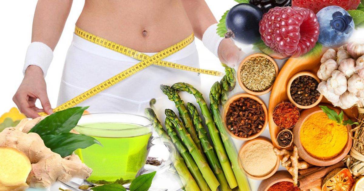 16 способов как ускорить метаболизм чтобы похудеть | блог comfy