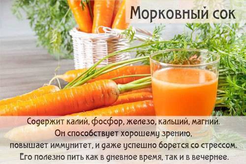 Морковь (сырая, отварная) - калорийность, полезные свойства и вред, как правильно употреблять морковь
