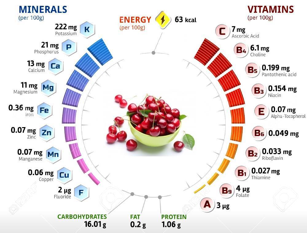 Черешня - описание, полезные и вредные свойства, калорийность, состав, содержание витаминов и минералов