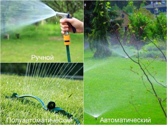 Как правильно и можно ли поливать газон в жару?