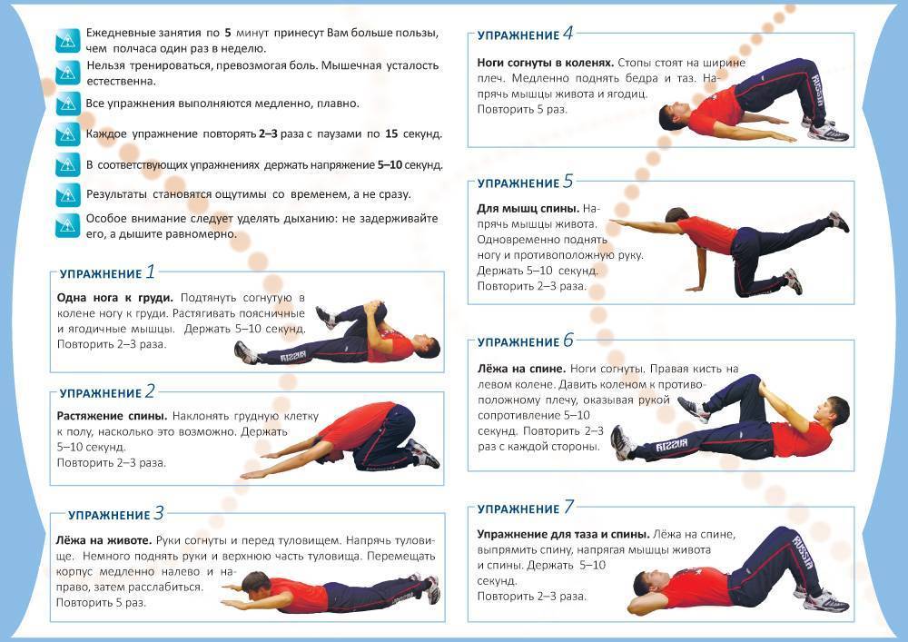 Обзор упражнений для развития спины